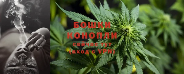 дурь Осинники