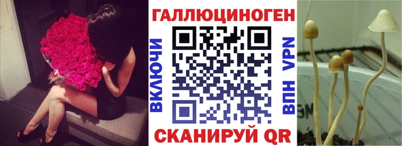 Псилоцибиновые грибы Cubensis Сольвычегодск